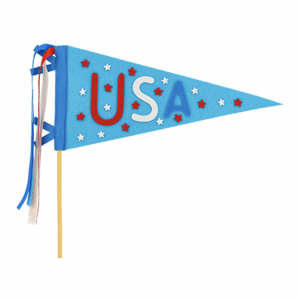 USA Summertime Felt Pennant Banner