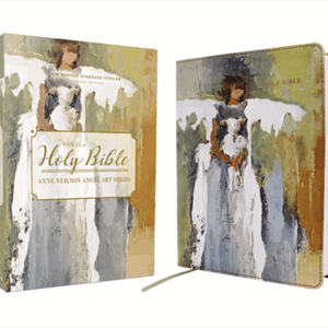 Anne Neilson Angel Art Series Bible (NRSVue)
