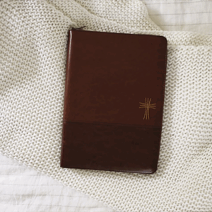 NIV, Thinline Bible, Large Print, Leathersoft, Brown, Zippered, Red Letter, Comfort Print